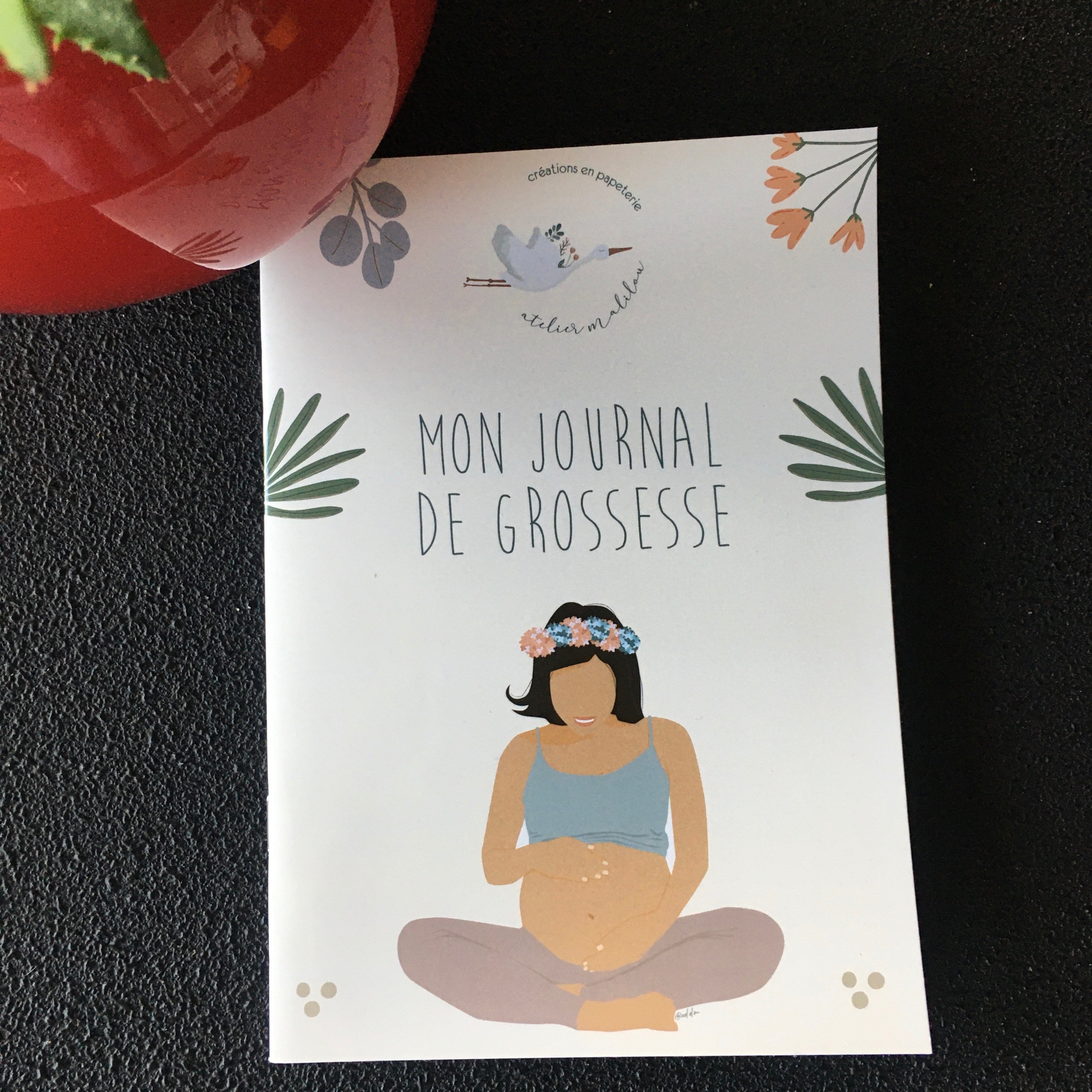 Journal de Grossesse et Carnet de Grossesse
